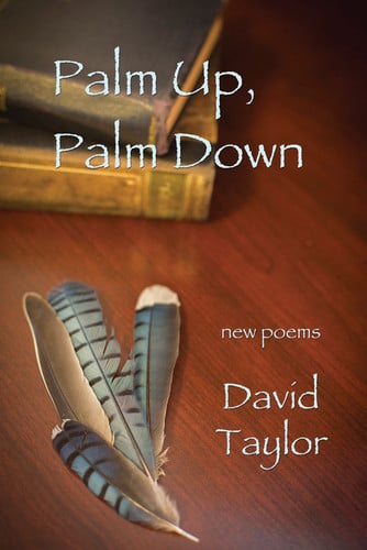 Book cover for Palm up, Palm Down