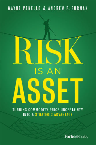 Book cover for Risk Is An Asset