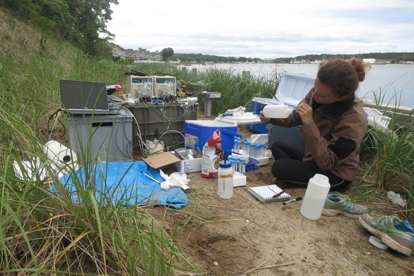 A student researcher conducts field work