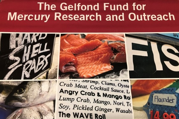 Gelfond Fund for Mercury Research and Outreach