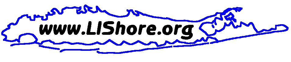 LIShore logo