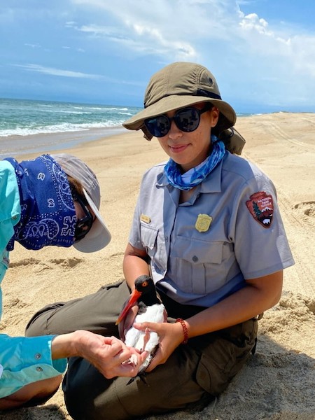 Roxana Saravia at work at the Fire Island National Seashore