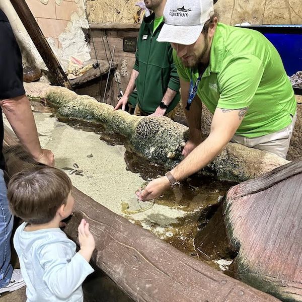 Steven Silverman shows a visitor the touch tank