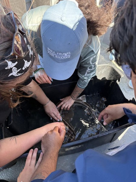 Victoria Panuccio sorts through the contents of a ocean trawl with fellow students.