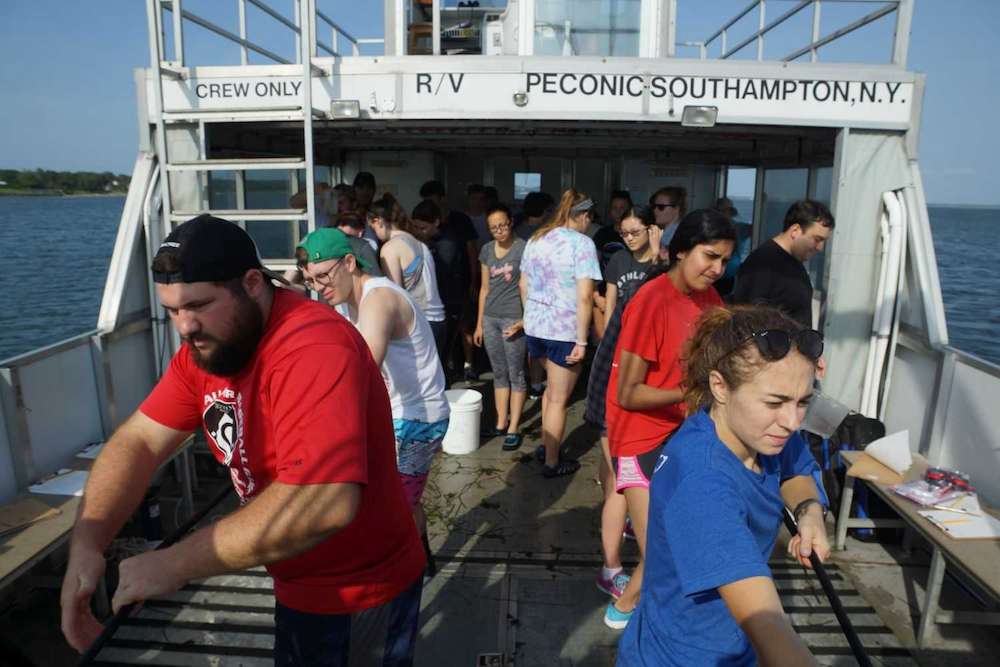 Students haul in a net onboard the Research Vessel Peconic