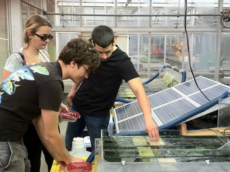 A group of students conduct an experiment with artificial turf in the greenhouse