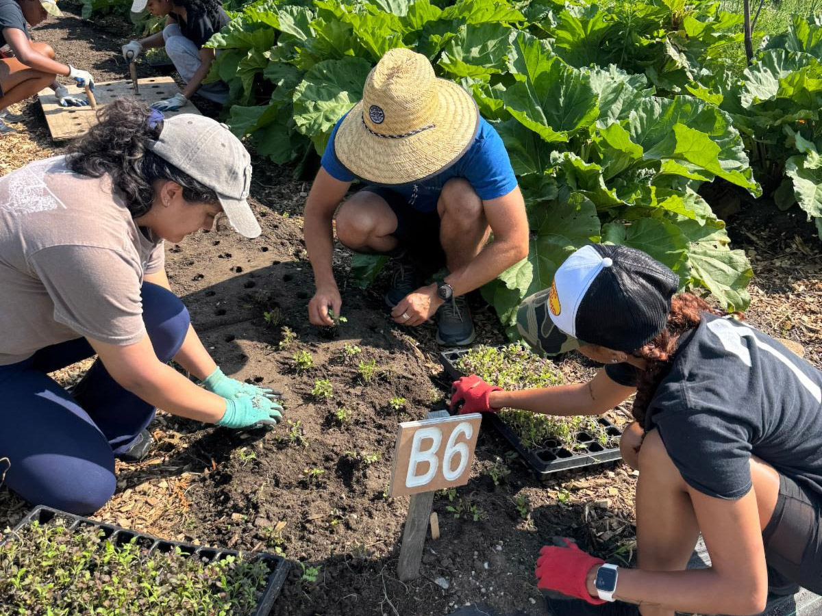 foodlab garden workers