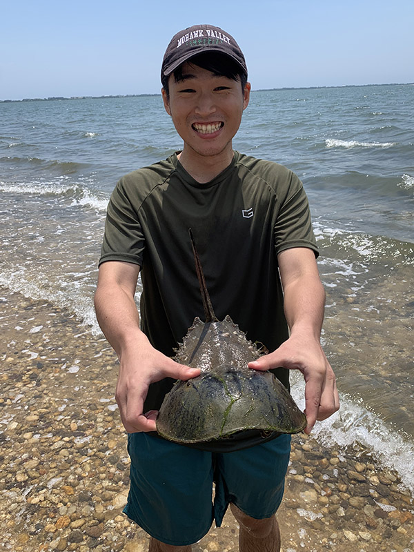 life in our ocean course