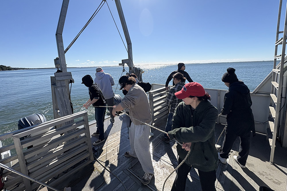 life in our ocean course