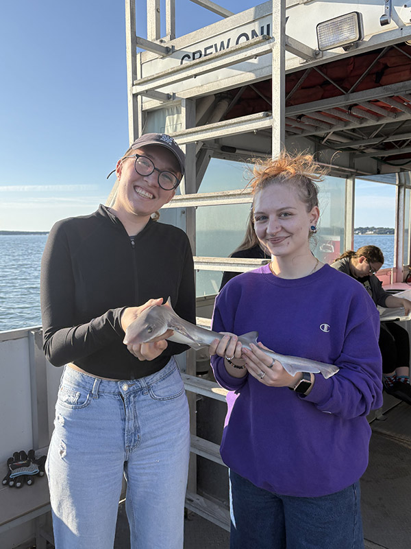 shark biology course