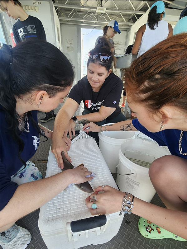 shark biology course