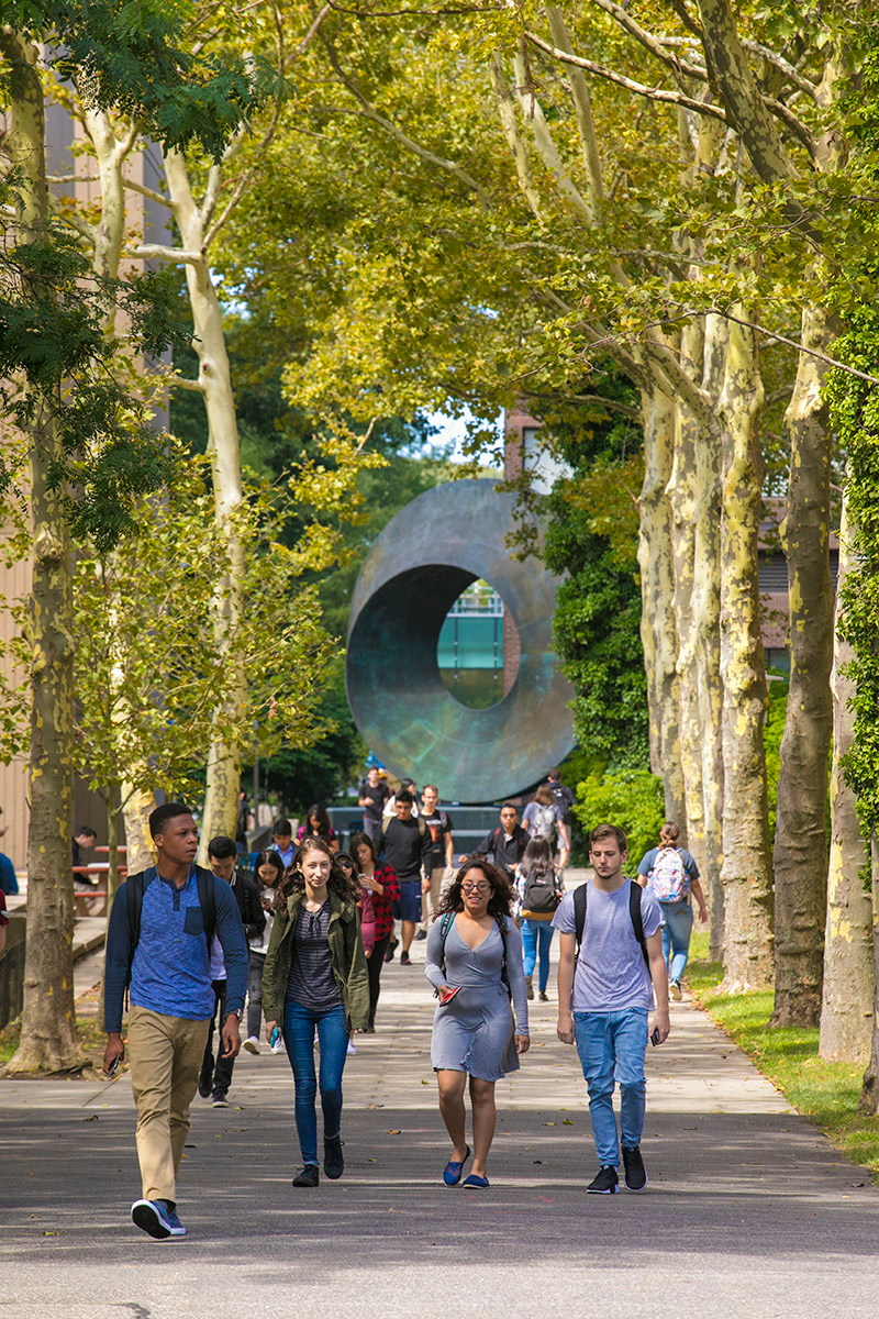 Students walking on Stony Brook campus in late summer
