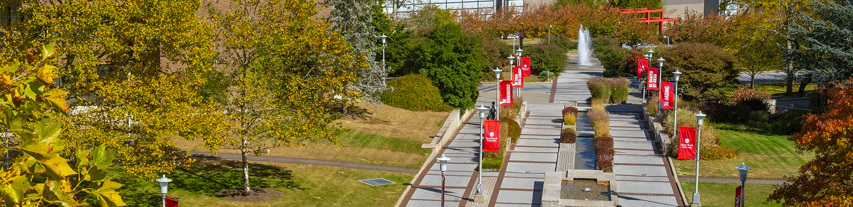 Campus walkway lined with university banners.
