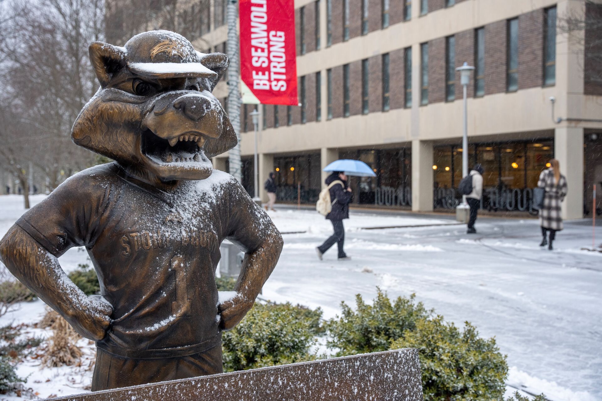Wolfie Statue in Winter