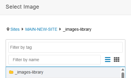 Screenshot of a “Select Image” dialog in a CMS showing breadcrumb navigation (Sites > MAIN-NEW-SITE > _images-library), search fields for filtering by tag and name, and a folder named “_images-library” listed below.