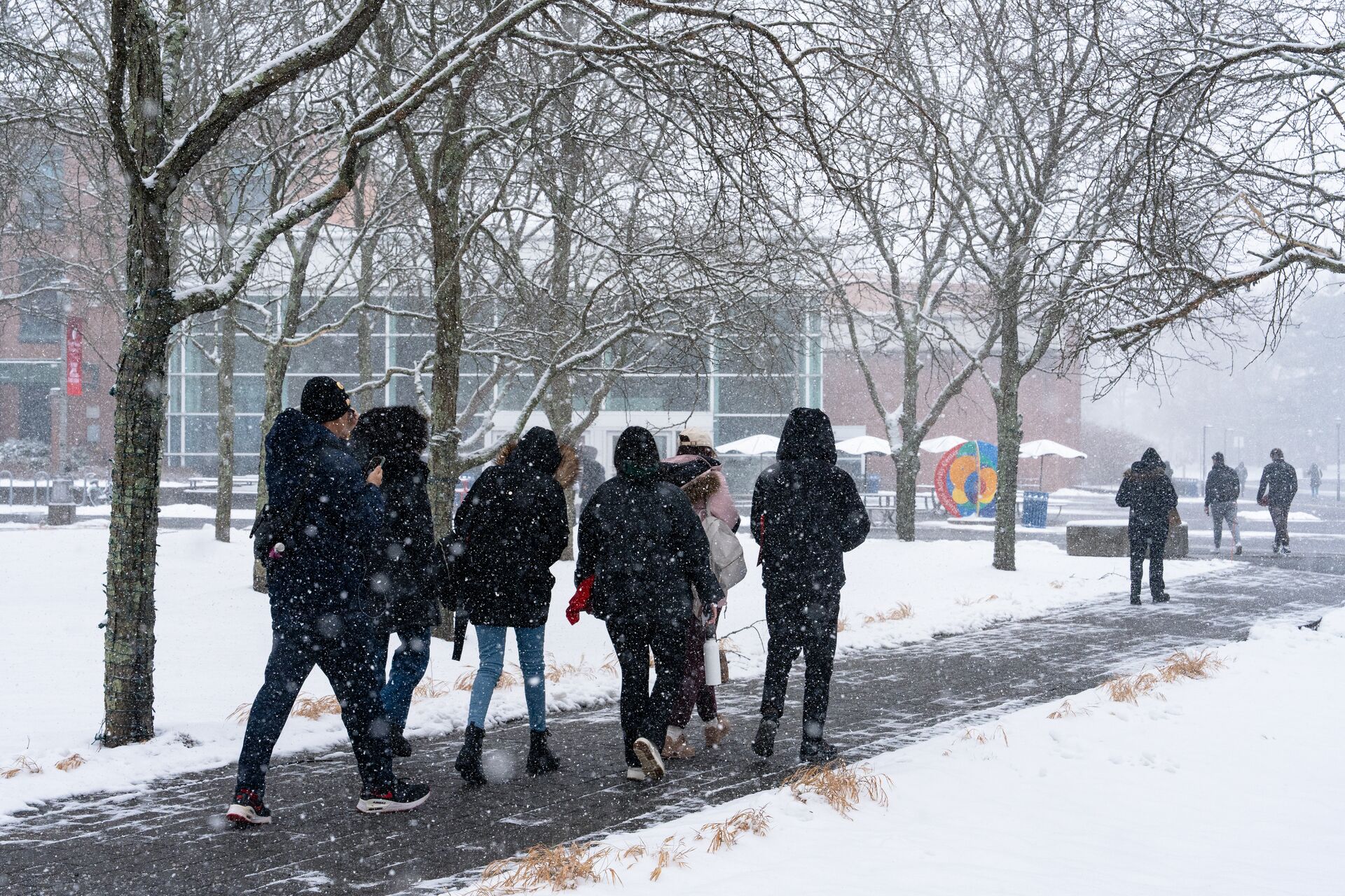 stony brook students and mascot